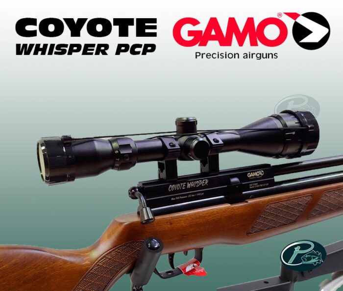 GAMO COYOTE PCP 5.5mm - Imagen 2