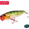 Hart Beardi Pop 80 F