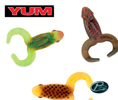 Yum Money Frog 3 3/4"