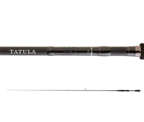 Caña Daiwa Tatula Spinning BF