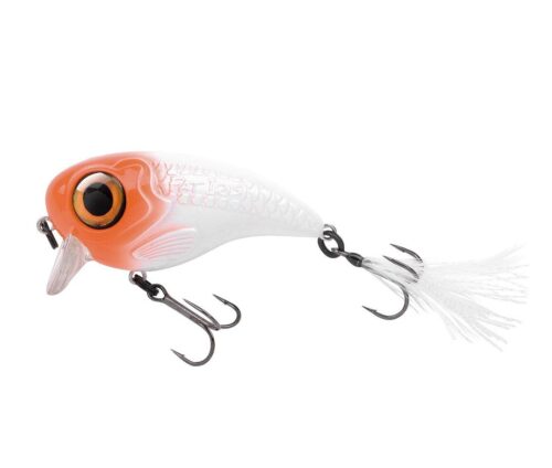 Crankbait Spro Fat Iris 60