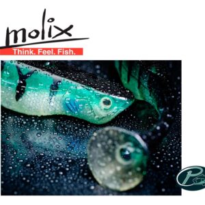 Molix Vis Shad 12 Cm