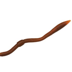 Spro Freestyle Twitch Worm