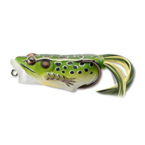 Popper Live Target Frog