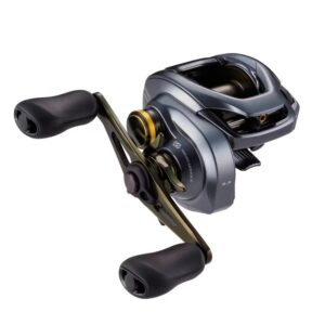 Carrete Shimano Curado DC 201HG