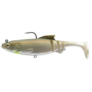 Daiwa Prorex PX Lazy Roach RD 16