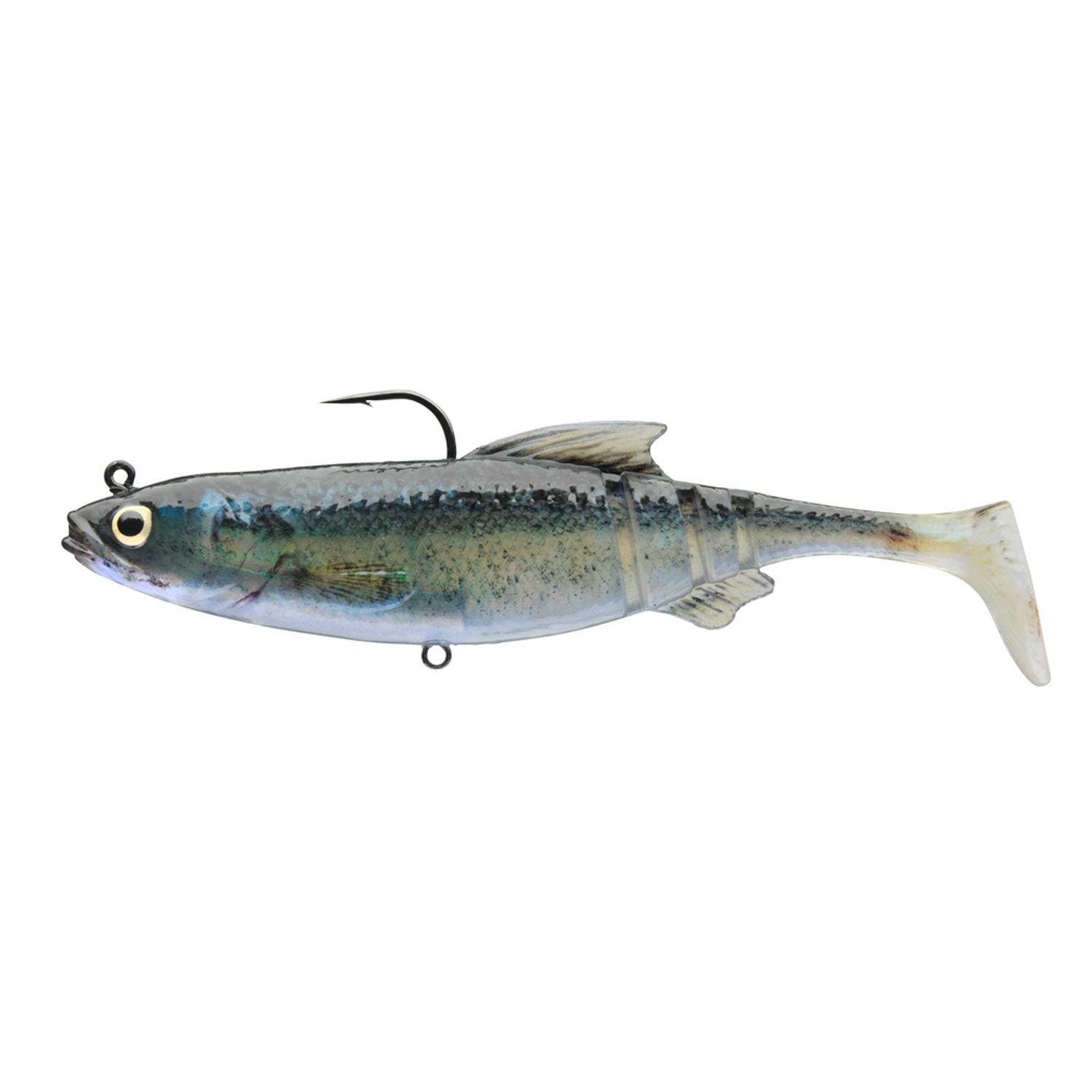 Daiwa Prorex PX Lazy Roach RD 16 - Imagen 2